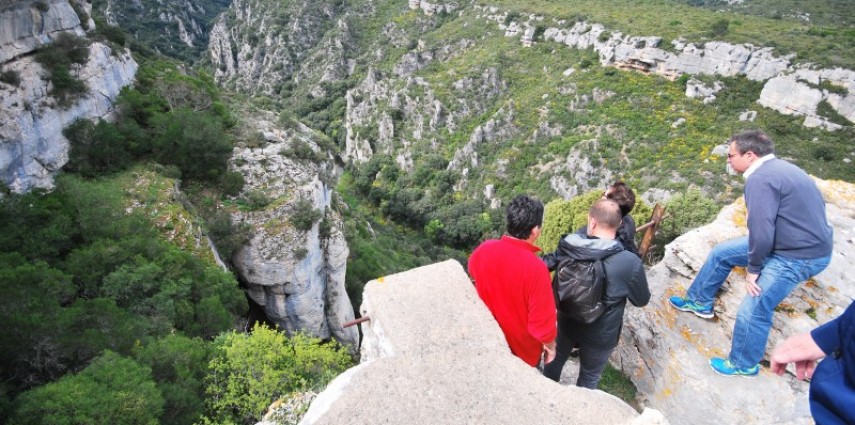 Sur le Terroir de la Livinière : des journalistes en balade