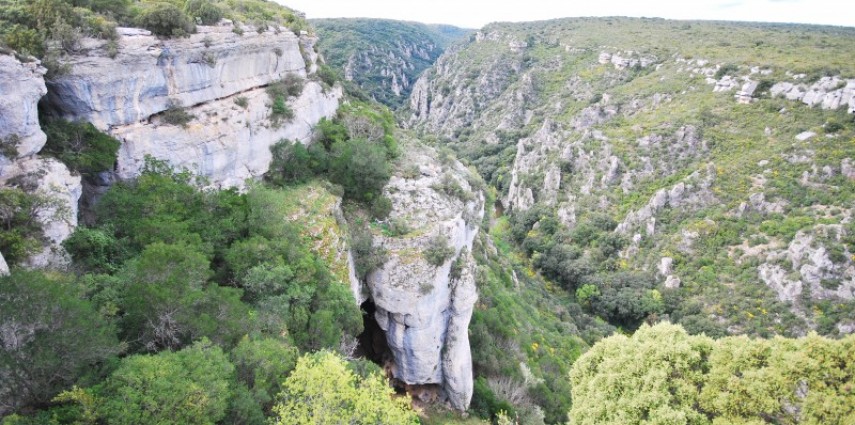 Sur le Terroir de la Livinière : des journalistes en balade