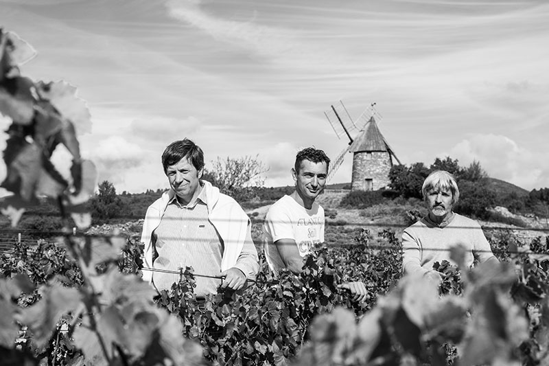 alliance-minervois