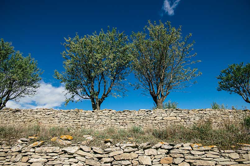 patrimoine-liviniere