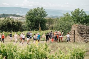 Oenorando à la Livinière - Minervois